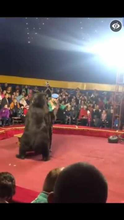 Bear reminds man who's really in charge.
