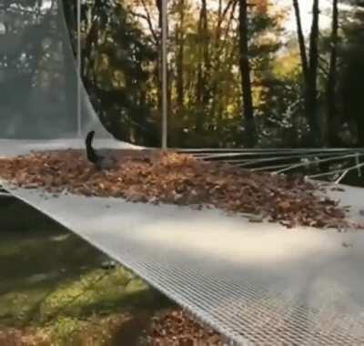 Demonstration Of Newton's First Law Of Motion