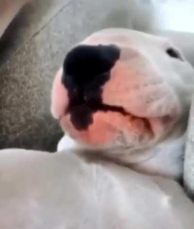 waking up from a nap and remembering that thing you forgot