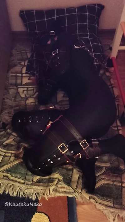 Timelapse of sleeping in a bitchsuit...