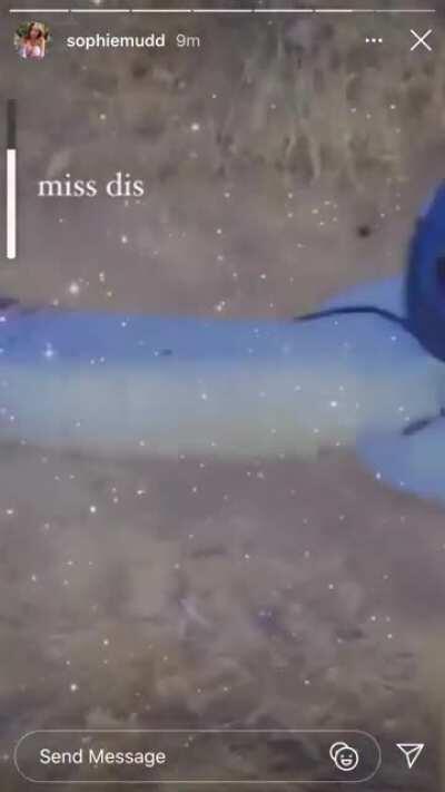 What i would do to be this horse 🤦🏽‍♂️😔