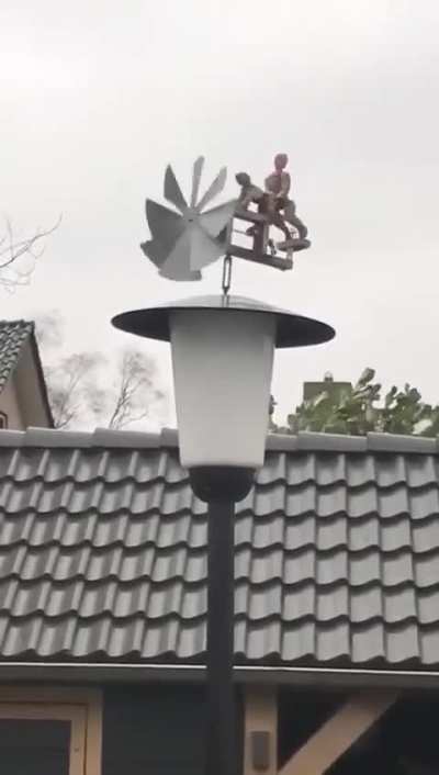 Wasn't half windy in my garden yesterday