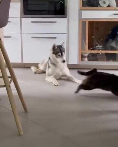 I Just Wаntеd То Таkе А Nар. . .