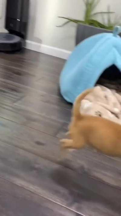 tiny slammy whammies