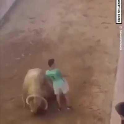 The balls of this guy... ...