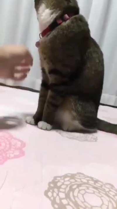 Руку убрал!