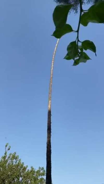 I'm pretty sure there are better ways to do this