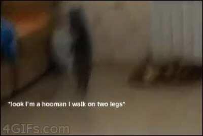 I’m the boss hurr durr