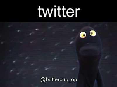 twitter be like: