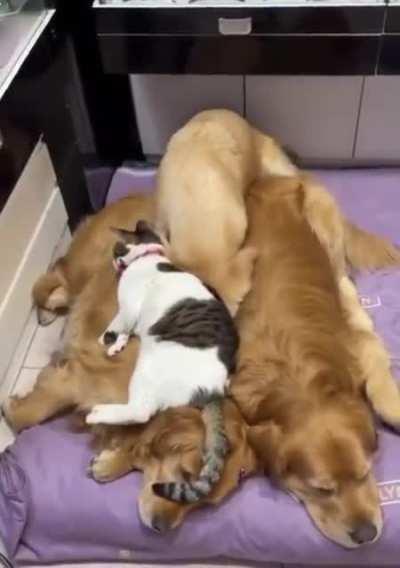 Hey, that's my spot!