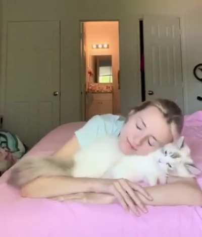 And how do people ever live without kitties