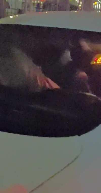 Still can’t believe it’s been a year now since I Cucked my BF for the first time ever in the back of this guys car I met at the club and now we both fantasize about it happening again soon!