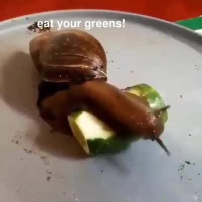 Snail snack Saturday