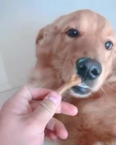 Taming the wild beast