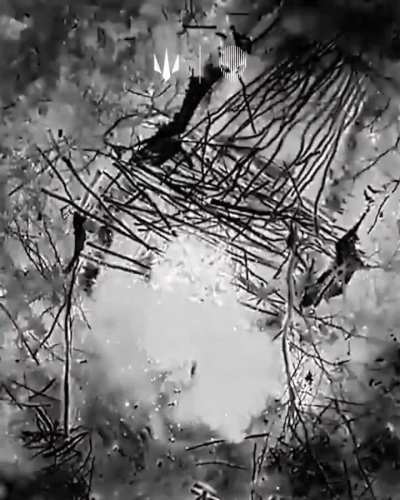 Footage of a drone operator by the Ukrainian 