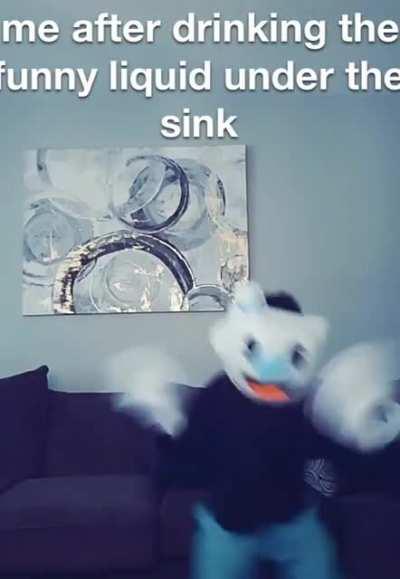 Random meme on my camera roll