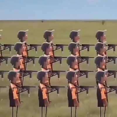 Bir sürü fosil men