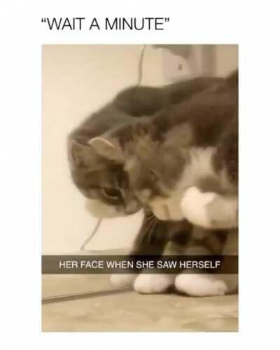 The double checking.