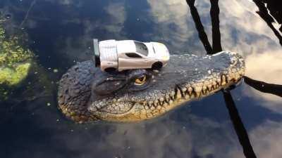 I love Cogman, but I had to 'express my feelings in song!'