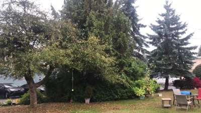 A rainy afternoon in Courtenay,Canada.