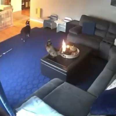 Everything is just fine