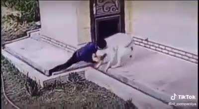 Tremendous sprawl. 10-8