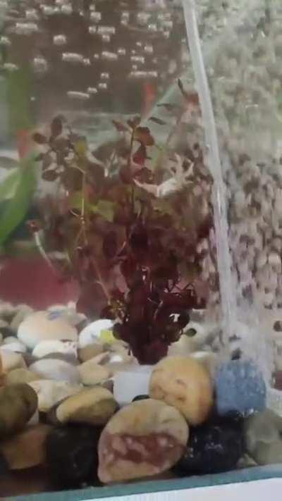 Me enjoying my meaningless life