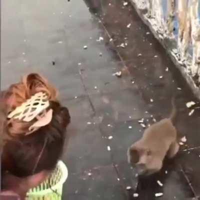 Yo tratando de robarle el corazón a una nalgótica…