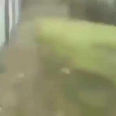 cursed_warningjumpscare