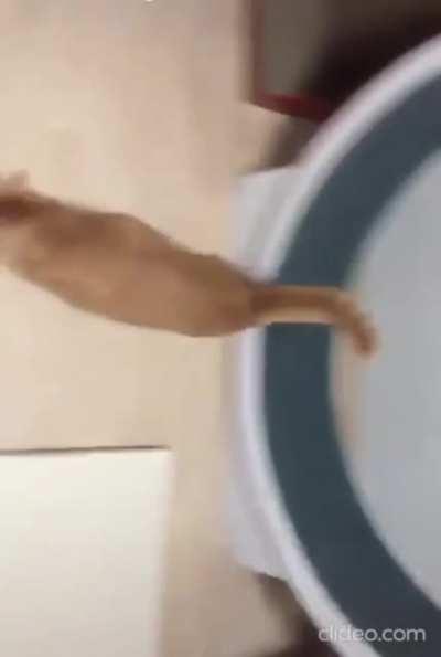 誰讓你躺平的？給我回來！