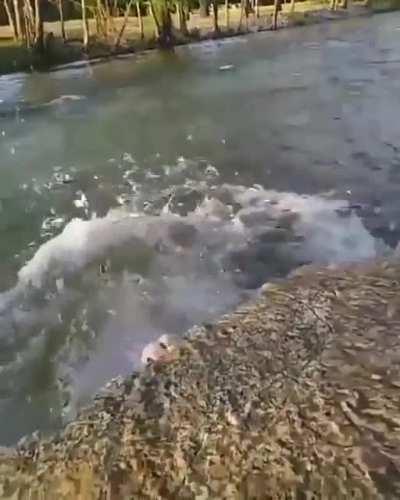 HMC while I pose for a photo