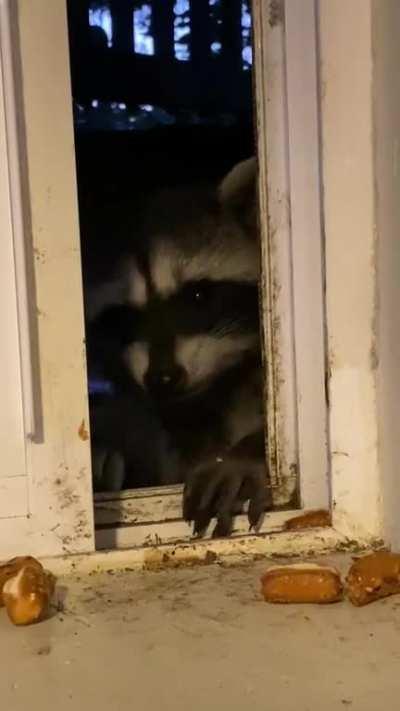 Warning: Mlems, Bleps, and Om Nom Noms