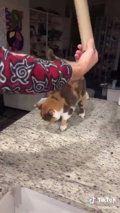 She demands the drum