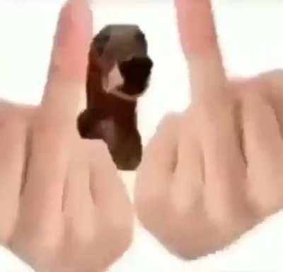 Message for everyone