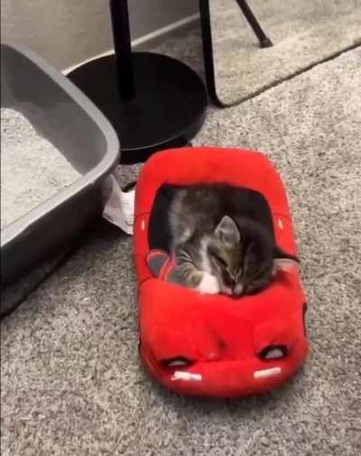 Arrested for sleeping while driving