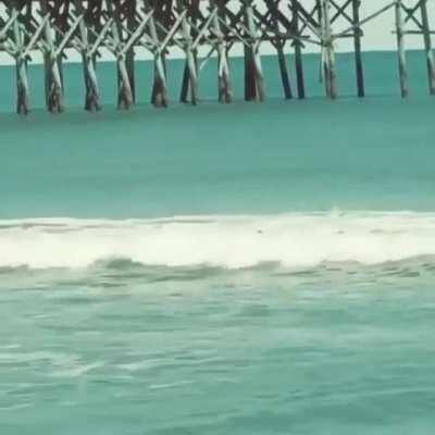 Actual footage of Caligula declaring war on Neptune