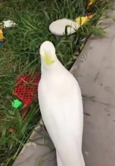 Have to watch your surroundings to stay safe when you party