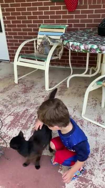 Smudge is a good ol’ girl that deserves some pets