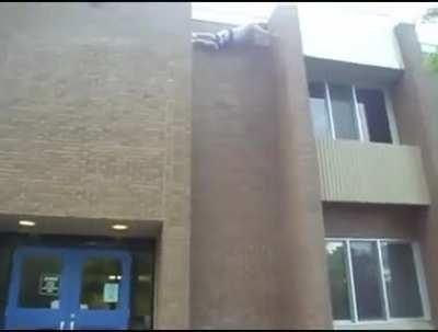 fs in the chat for his knees