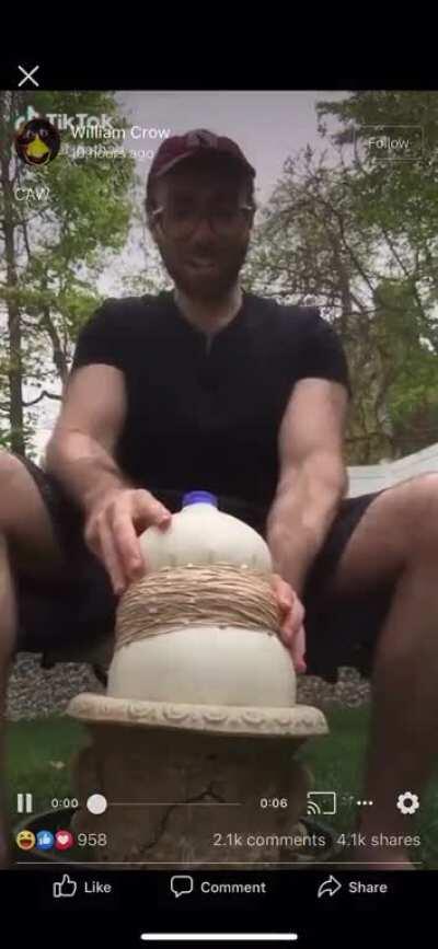 Perfectly cut drown?