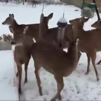 Every guy's sneezing be like