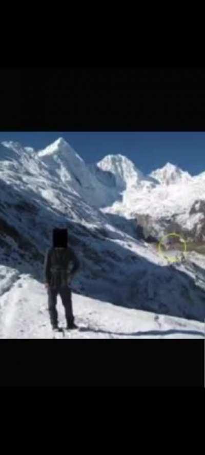 Heres a lovely coconut doggy