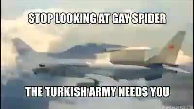 Stop looking at gay spiders, the military needs you