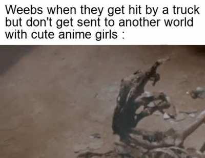Where cat girls?