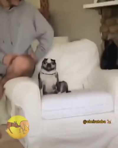 Pra que t&iacute;tulo?