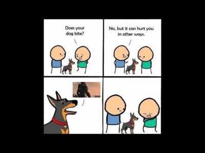 Dog can hurt you in other ways