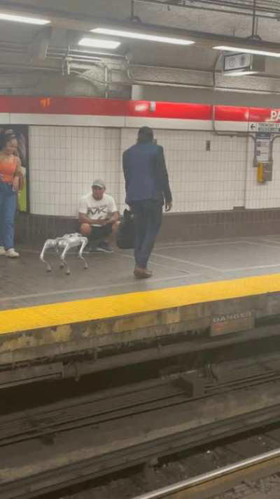 Robo-dog seen taking the T