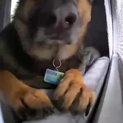 Камера видеонаблюдения с датчиком движения