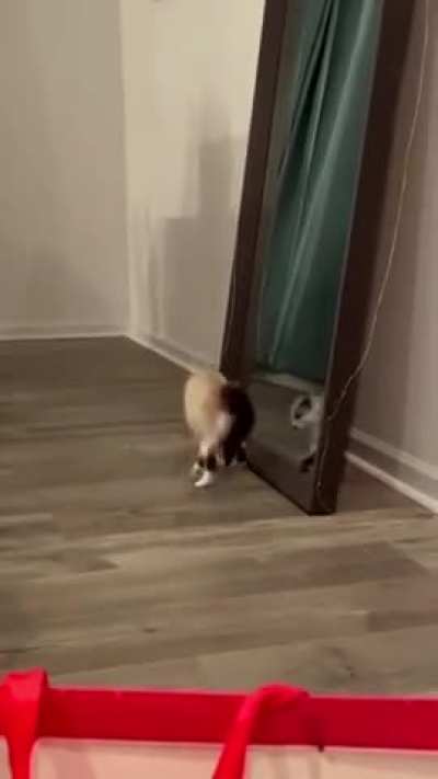 I must attack this strange creature