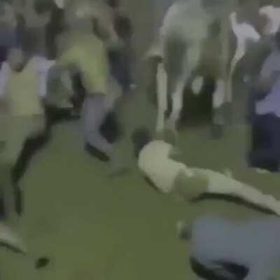 Human 1 - Bull 6 - Other Humans 0